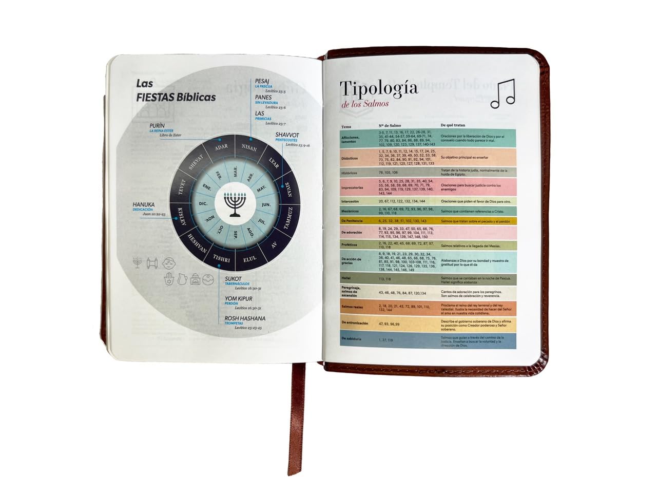 Biblia RVR1960 Clasica cafe im piel BL 8.5pt 025c PJR