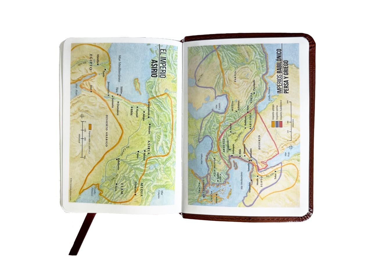 Biblia RVR1960 Clasica cafe im piel BL 8.5pt 025c PJR