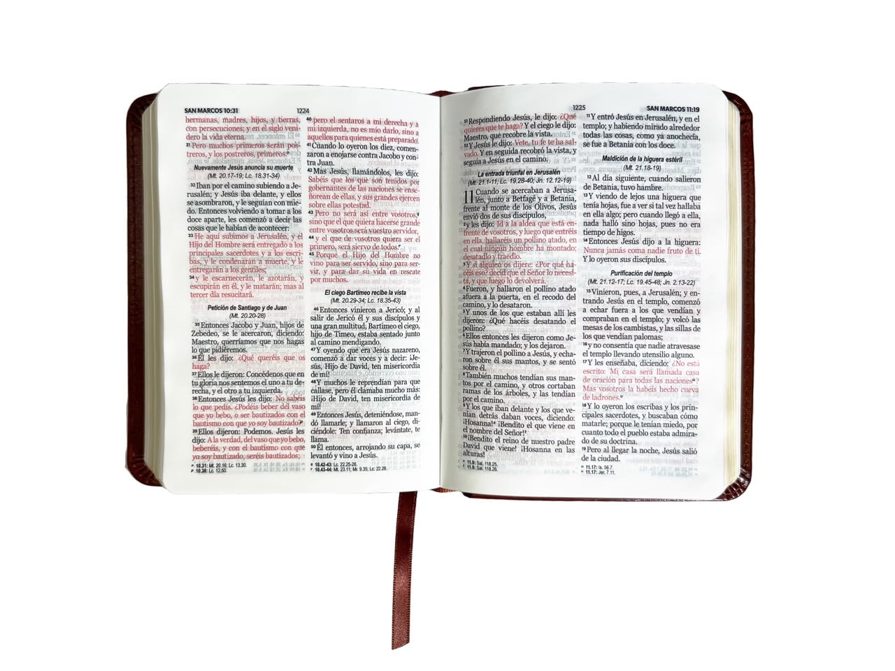Biblia RVR1960 Clasica cafe im piel BL 8.5pt 025c PJR