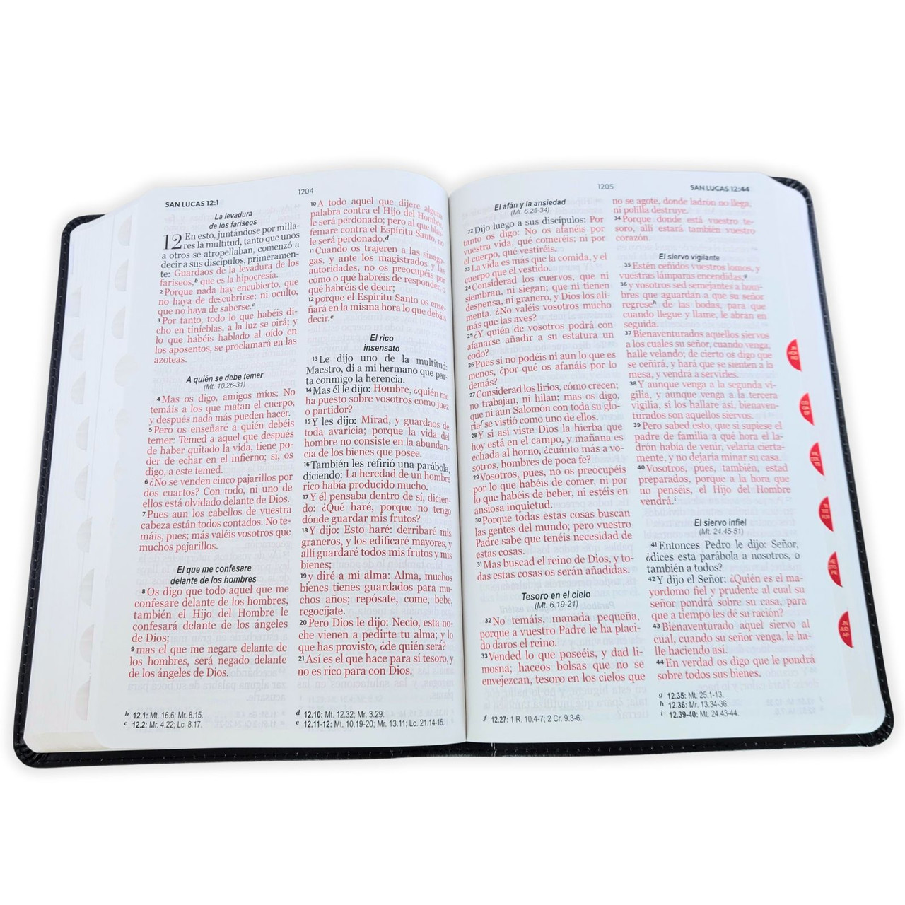 Biblia RVR1960 Coleccion supreme negro leon cruces im piel índice CON C 12.5pt