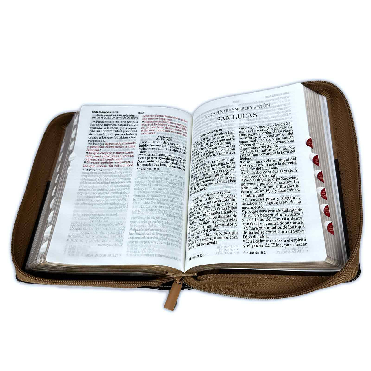 Biblia RVR1960 Expresate aguila cafe im piel cierre índice chica 11pt