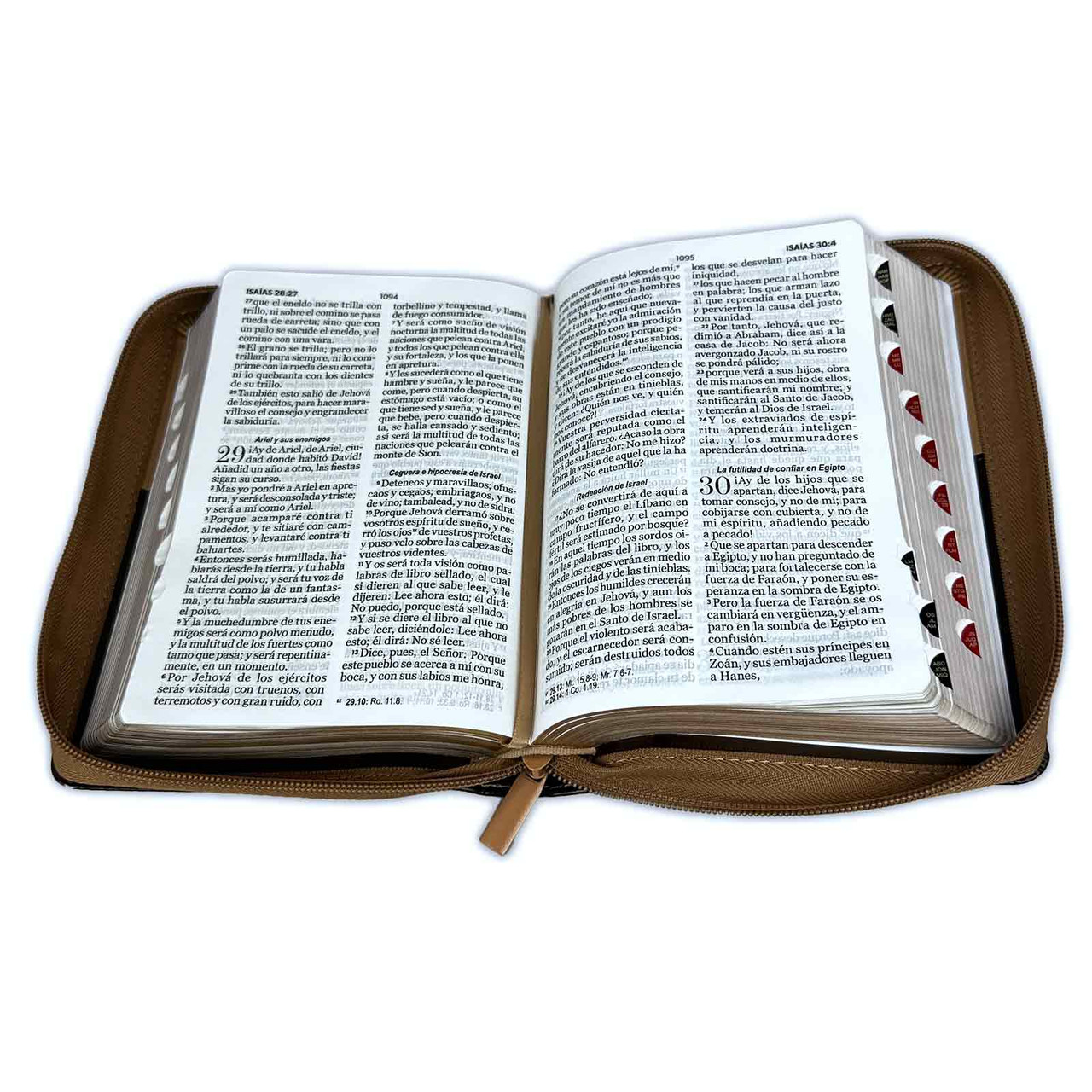 Biblia RVR1960 Expresate aguila cafe im piel cierre índice chica 11pt