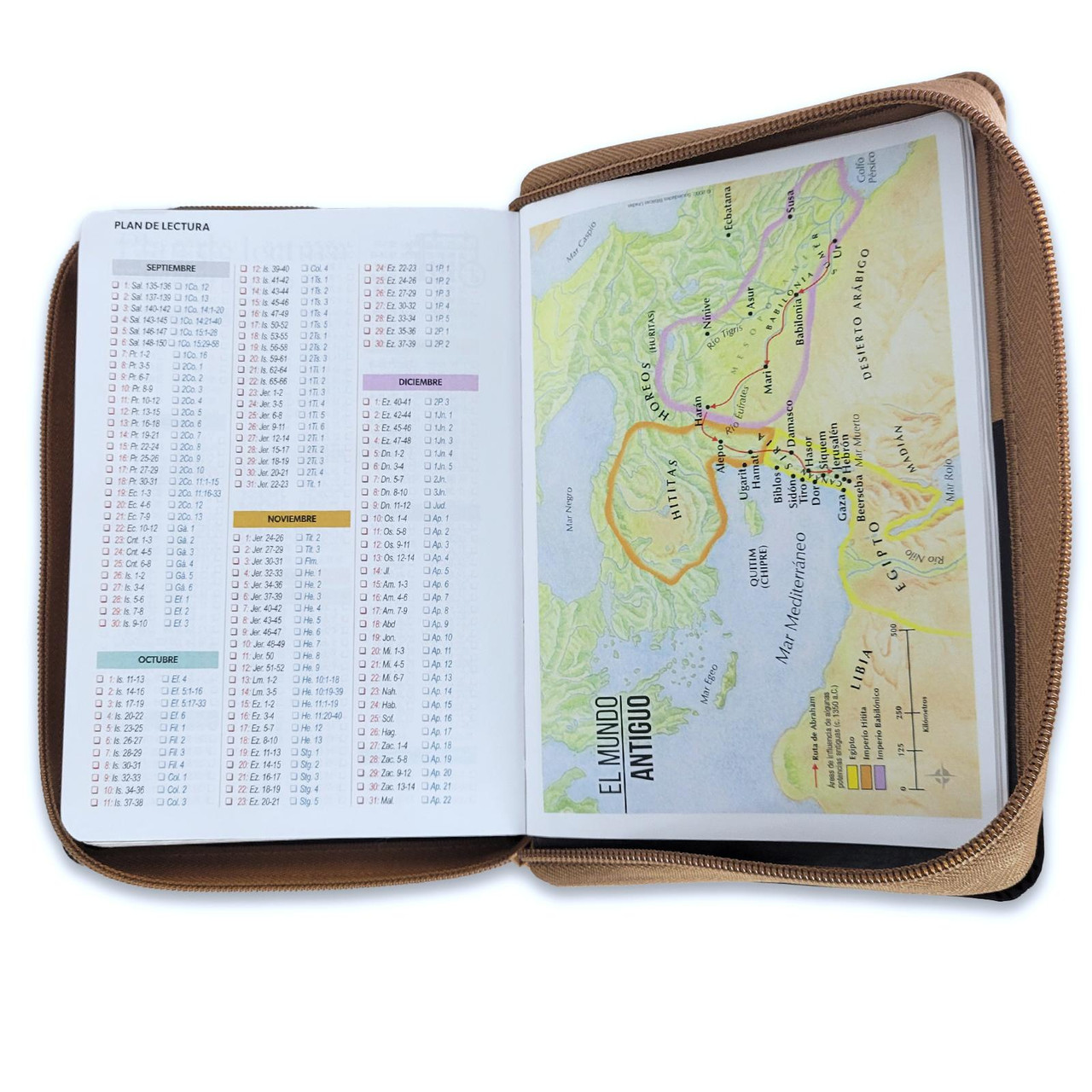 Biblia RVR1960 Expresate aguila cafe im piel cierre índice chica 11pt