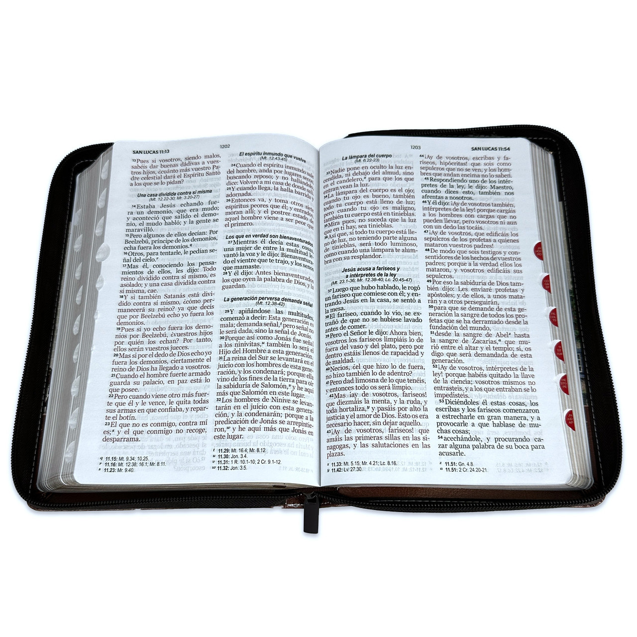 Biblia RVR1960 Fantasia marron fantasia cafe im piel cierre índice manual 12.5pt Vsp