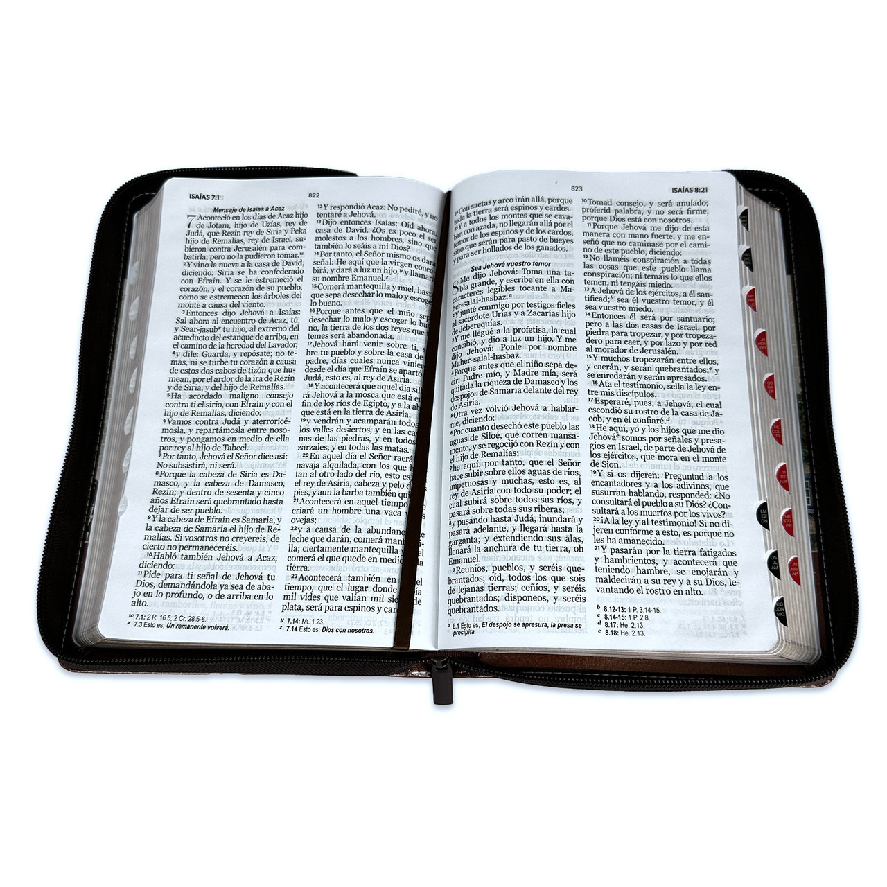 Biblia RVR1960 Fantasia marron fantasia cafe im piel cierre índice manual 12.5pt Vsp