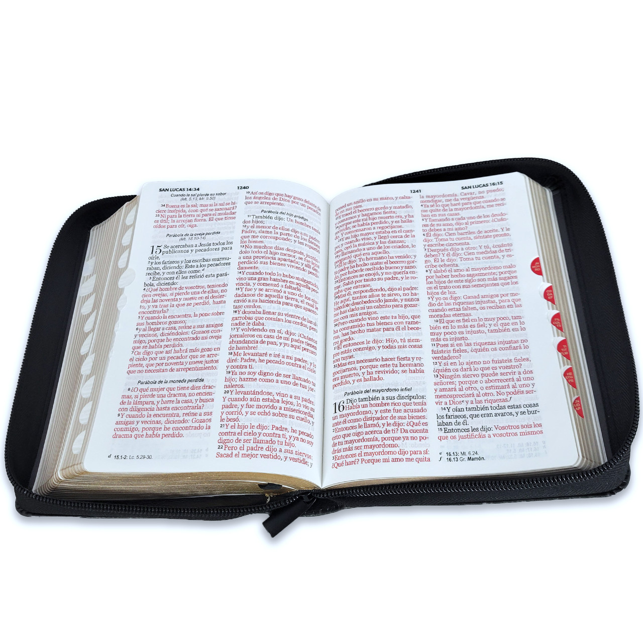 Biblia RVR1960 fortaleza arca alianza im piel índice cierre CH 10pt