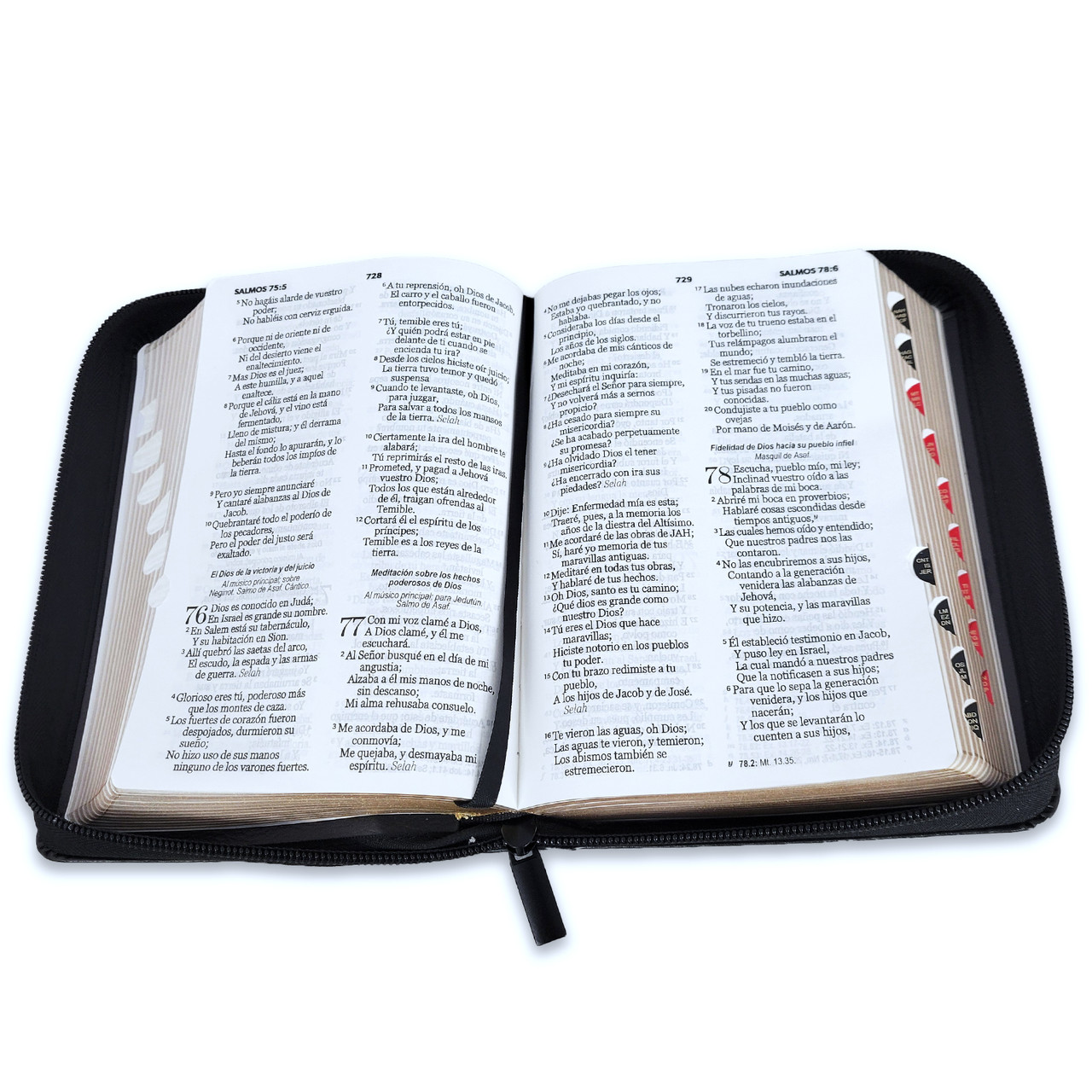 Biblia RVR1960 fortaleza arca alianza im piel índice cierre CH 10pt
