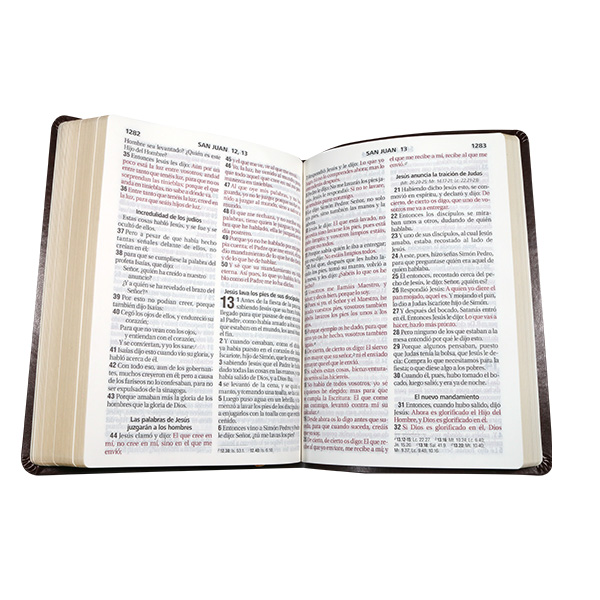 Biblia RVR1960 grande l gte vino hojas RVR085cLGIPJR AZ