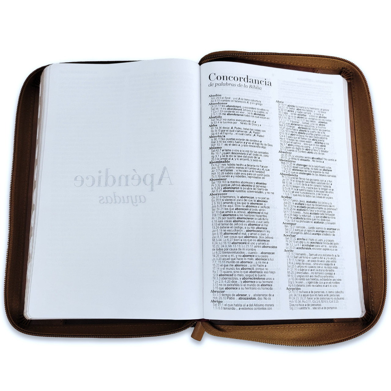 Biblia RVR1960 Inspiracion aguila café im piel cierre índice TM 12.5pt