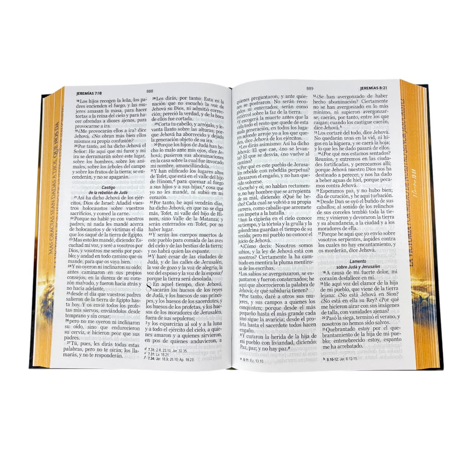 Biblia RVR1960 Leon Victoria cto pto texto TD TM 12.5pt