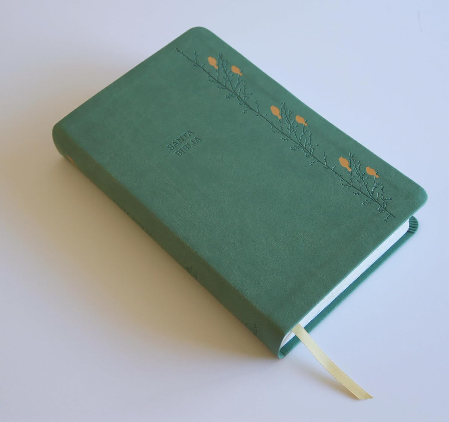 Biblia RVR1960 Letra gigante verde con pajaros cto pintado im piel manual 14pt