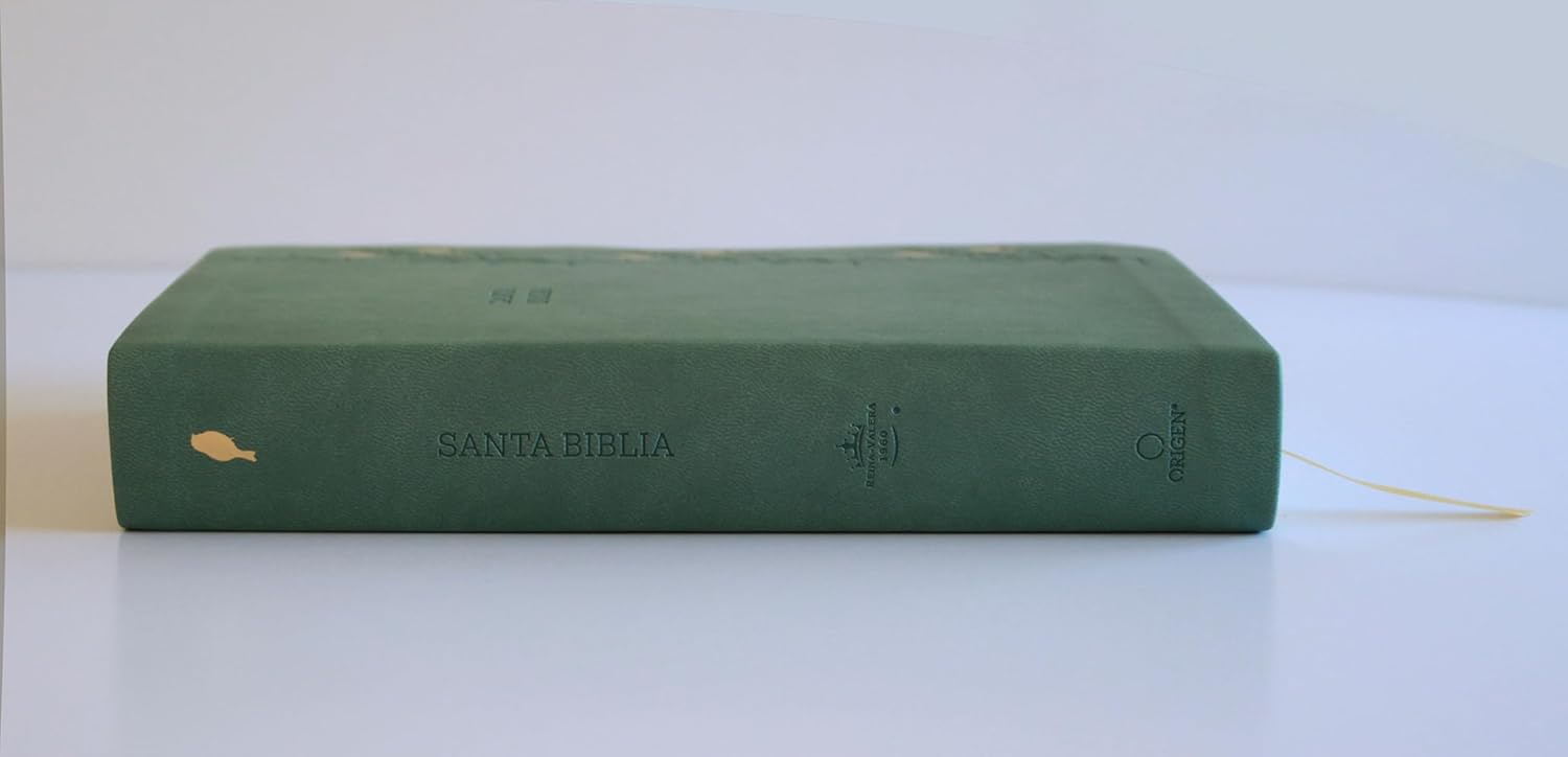 Biblia RVR1960 Letra gigante verde con pajaros cto pintado im piel manual 14pt