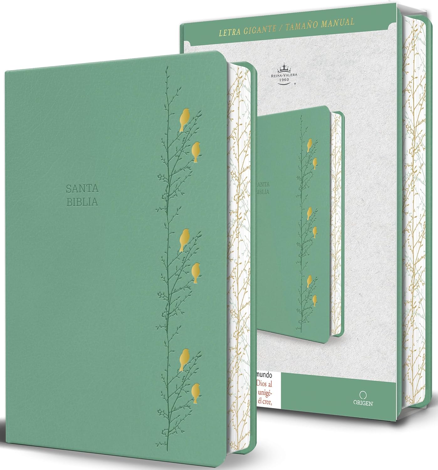 Biblia RVR1960 Letra gigante verde con pajaros cto pintado im piel manual 14pt
