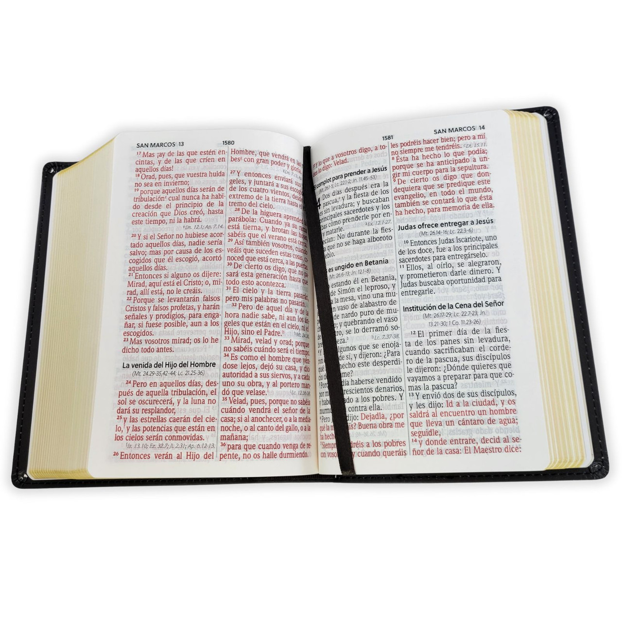 Biblia RVR1960 Letra grande manual leon de colores