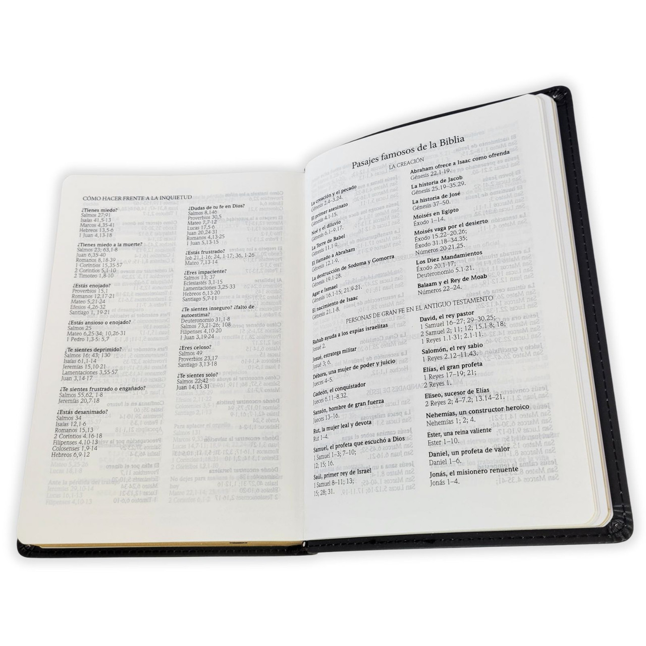 Biblia RVR1960 Letra grande manual leon de colores