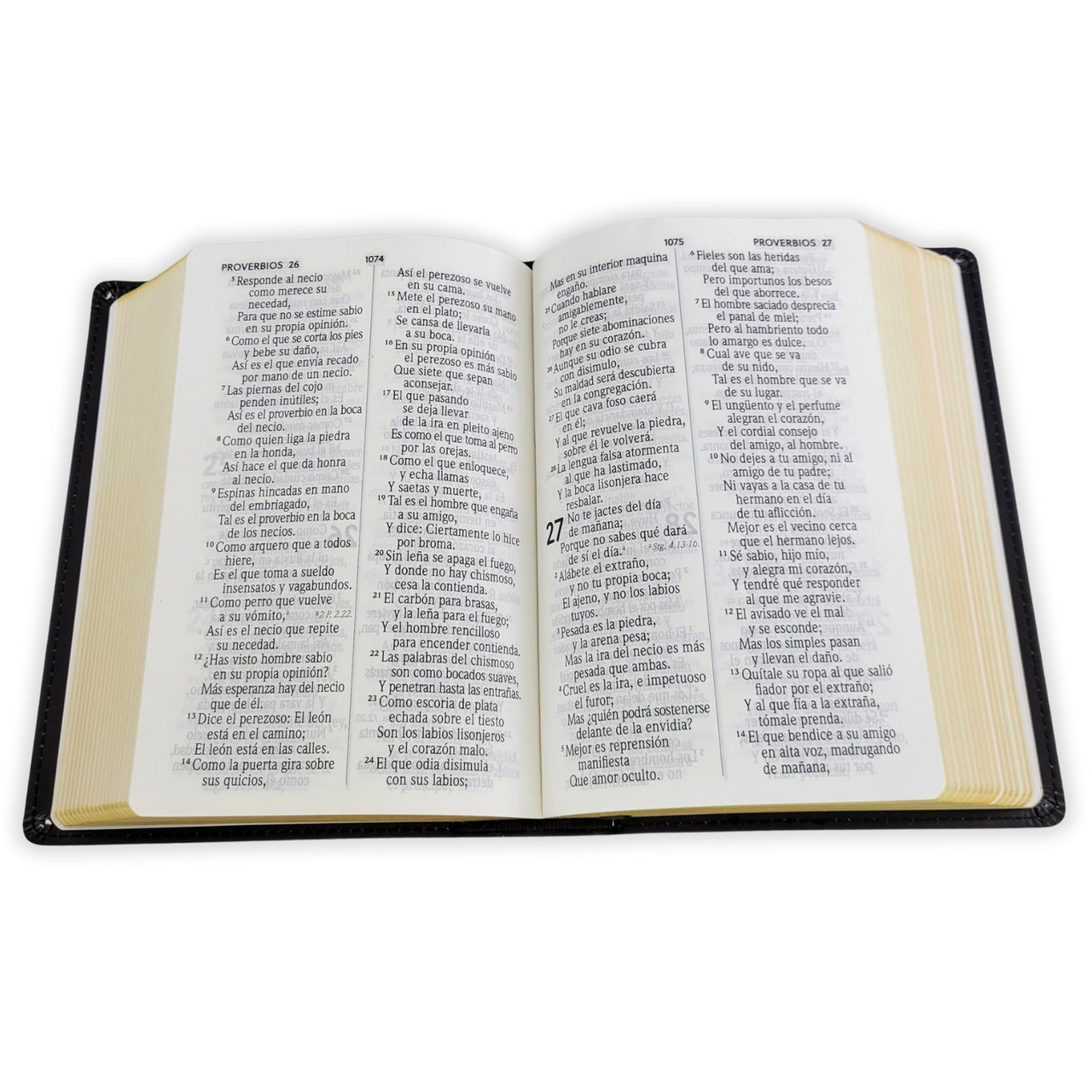 Biblia RVR1960 Letra grande manual leon de colores