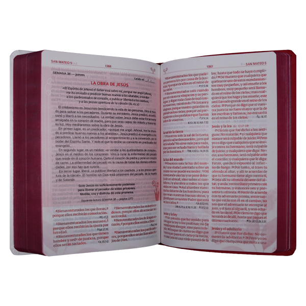 Biblia RVR1960 Madres que interceden fucsia/rosa 12pt RVR066LGPJR-MI