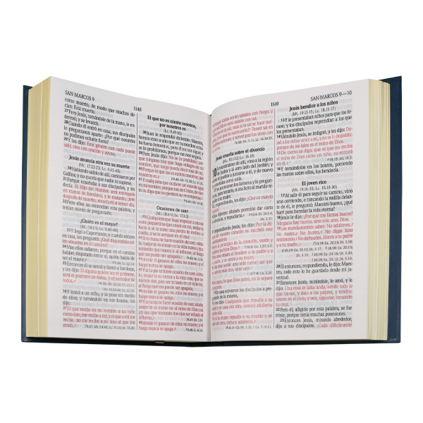 Biblia RVR1960 minimalista oscuro tapa dura manual
