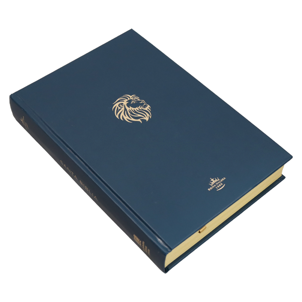 Biblia RVR1960 minimalista oscuro tapa dura manual