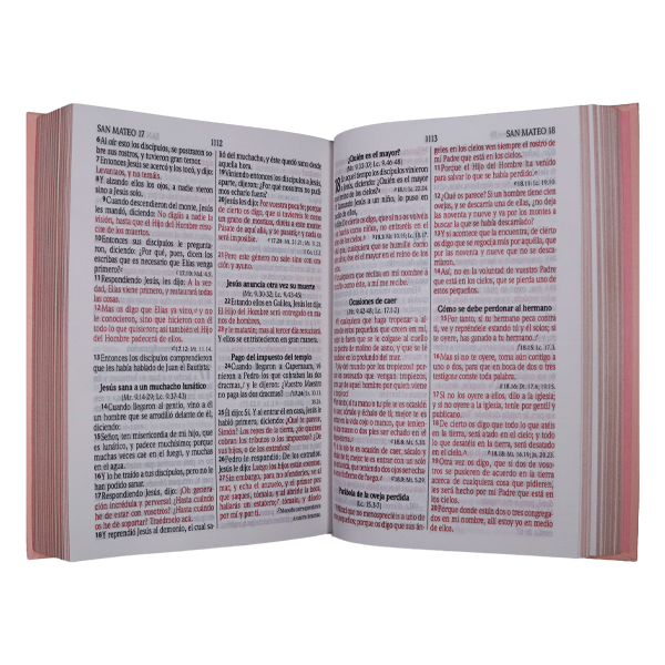 Biblia RVR1960 Minimalista rosado 12pt RVR063cLGPJR