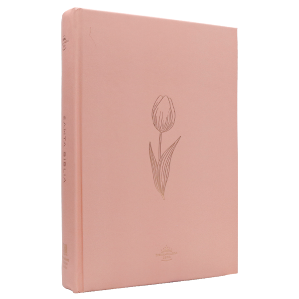 Biblia RVR1960 Minimalista rosado 12pt RVR063cLGPJR
