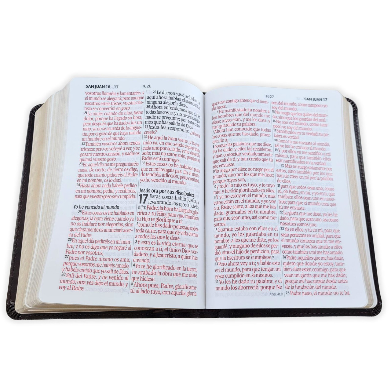 Biblia RVR1960 Neoclassic cafe oscuro canto dorado im piel concordancia manual 12pt