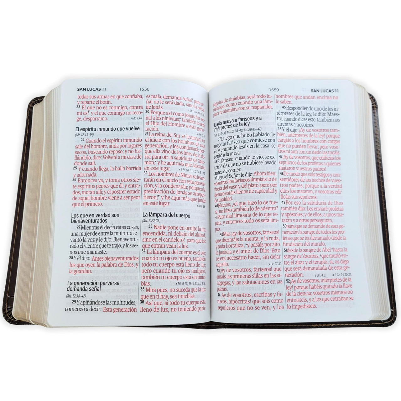 Biblia RVR1960 Neoclassic mokka canto dorado im piel CON C TM 12pt