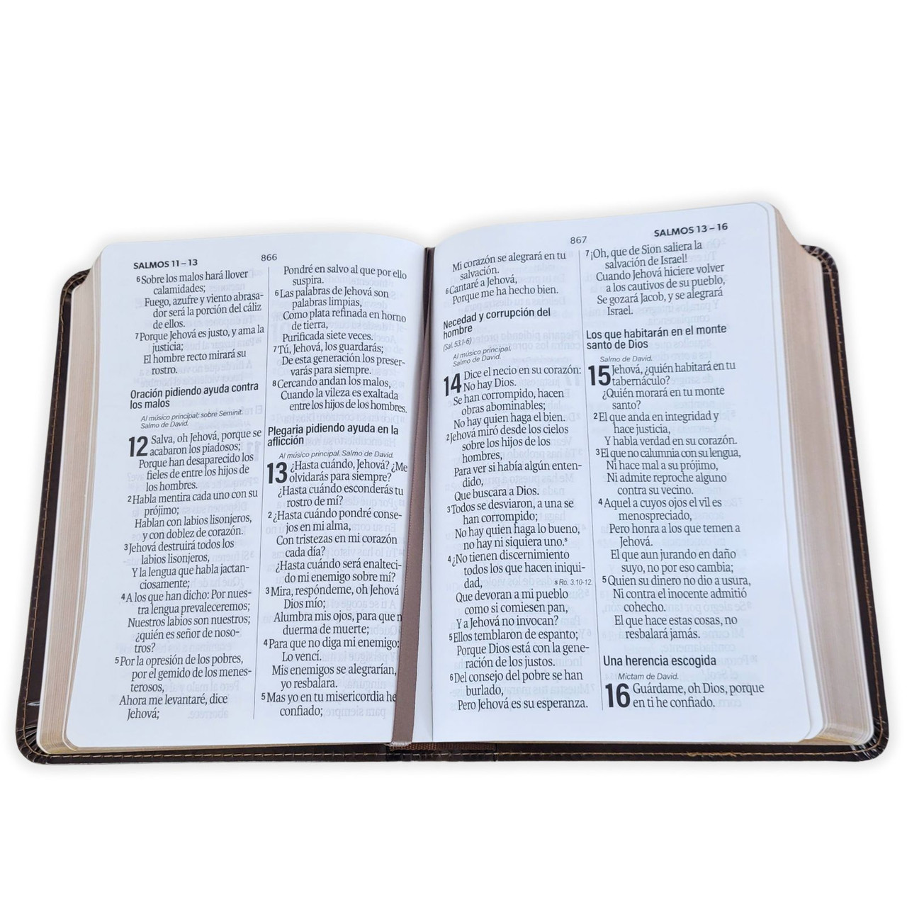 Biblia RVR1960 Neoclassic mokka canto dorado im piel CON C TM 12pt
