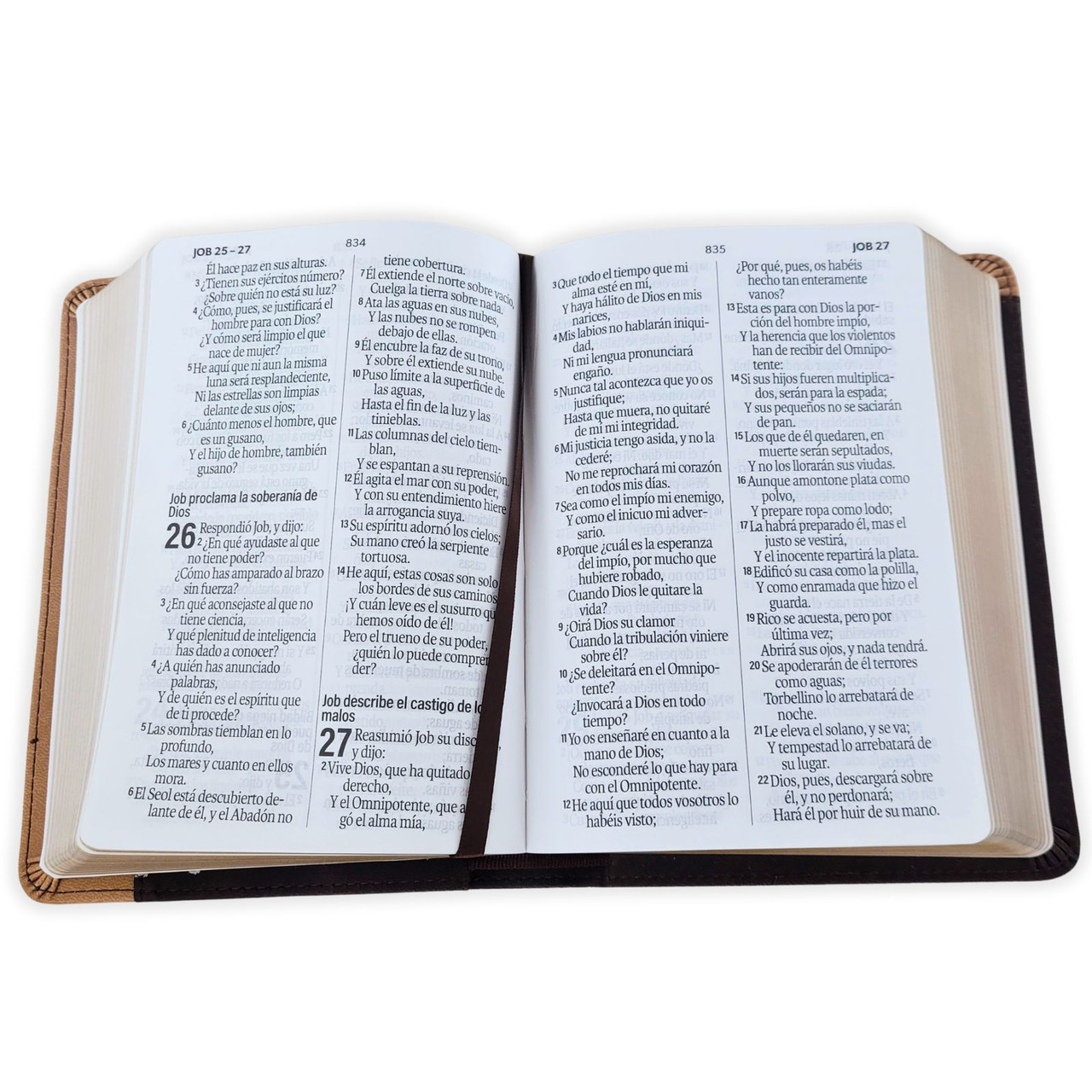 Biblia RVR1960 Neoclassic negro canto dorado im piel concordancia manual 12pt