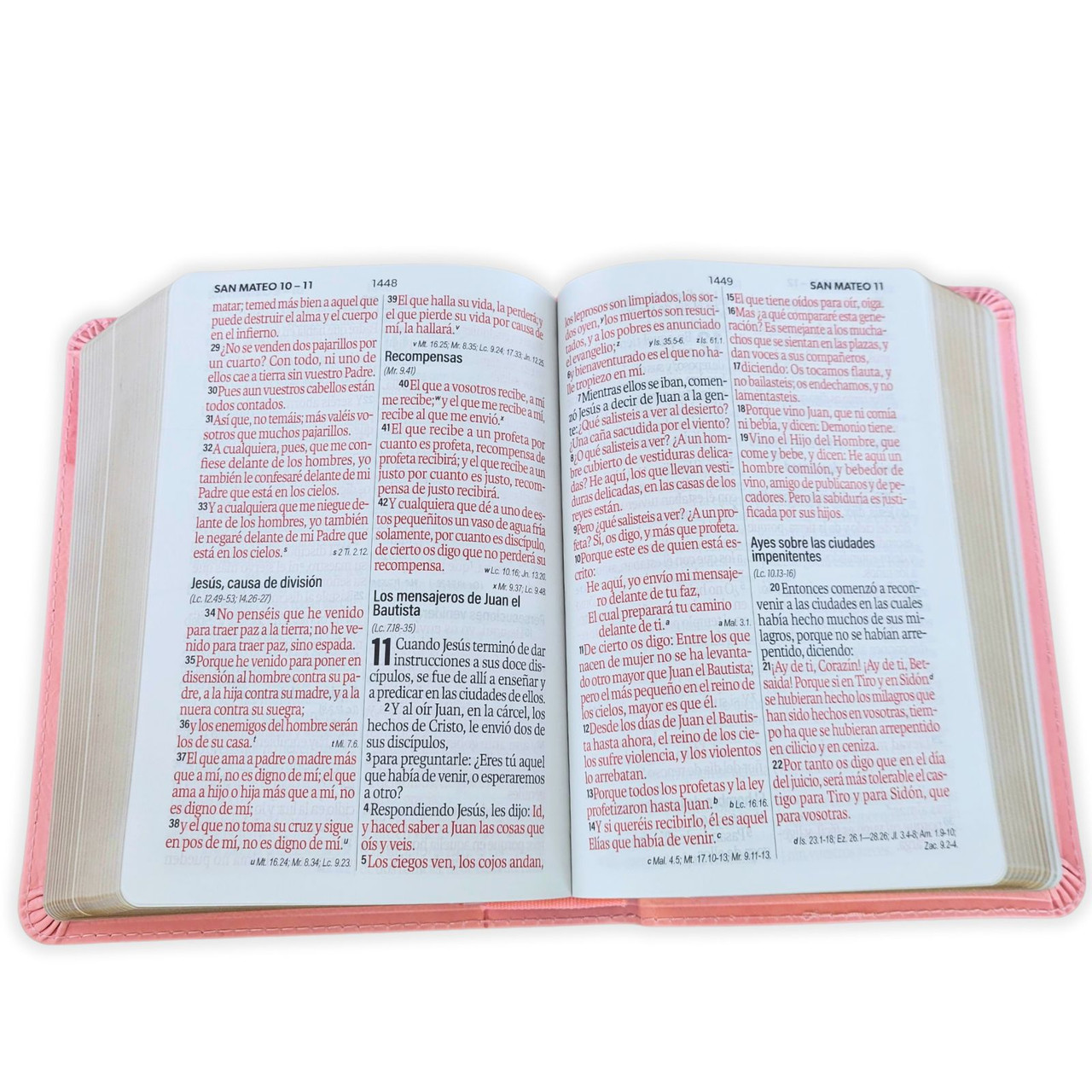 Biblia RVR1960 Neoclassic rosa canto dorado im piel concordancia manual 12pt