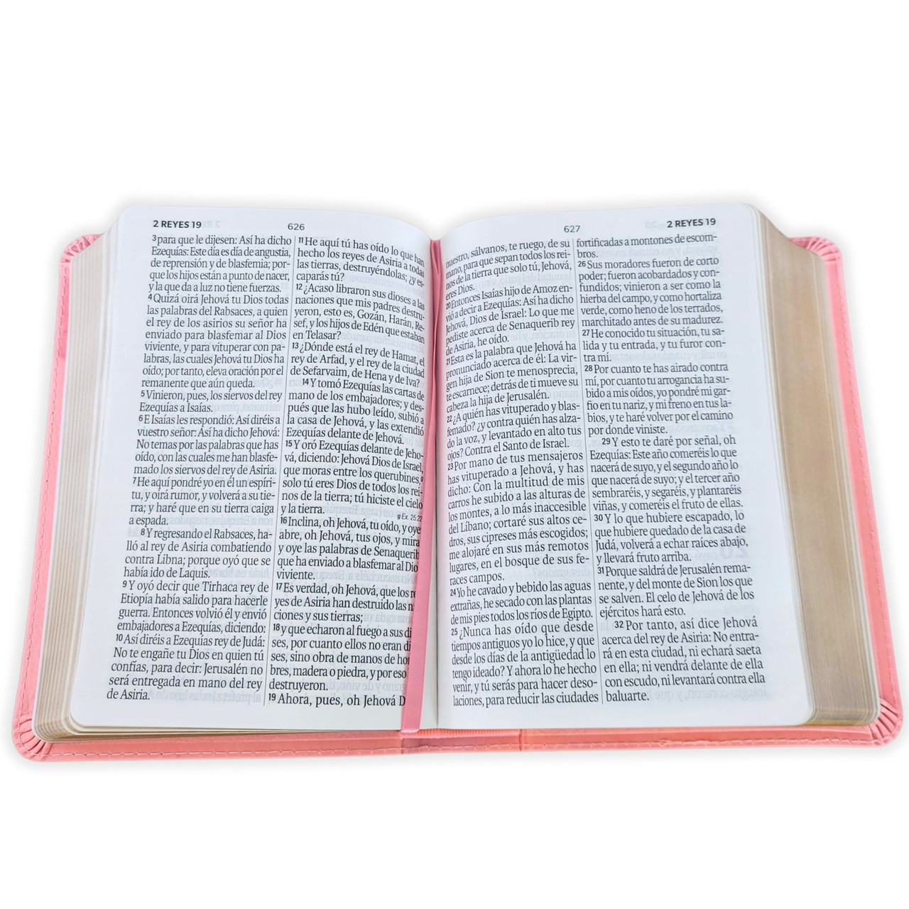 Biblia RVR1960 Neoclassic rosa canto dorado im piel concordancia manual 12pt