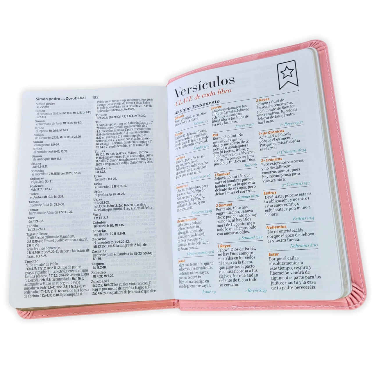 Biblia RVR1960 Neoclassic rosa canto dorado im piel concordancia manual 12pt