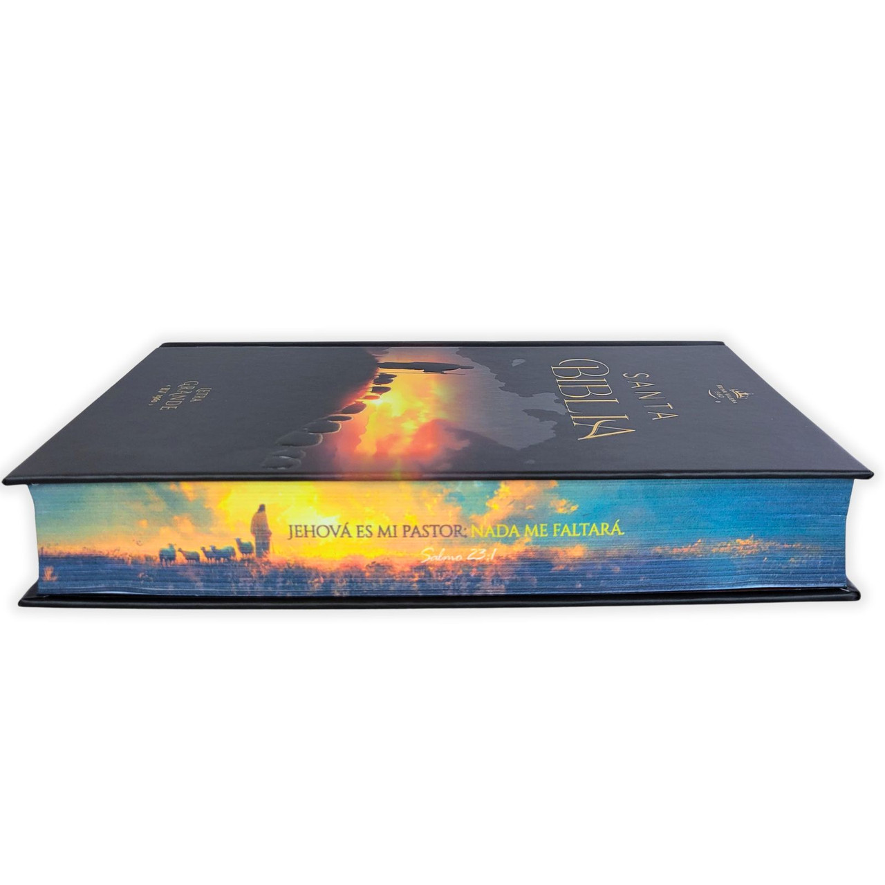 Biblia RVR1960 Pastor cto pto c/texto tapa dura manual 12.5pt