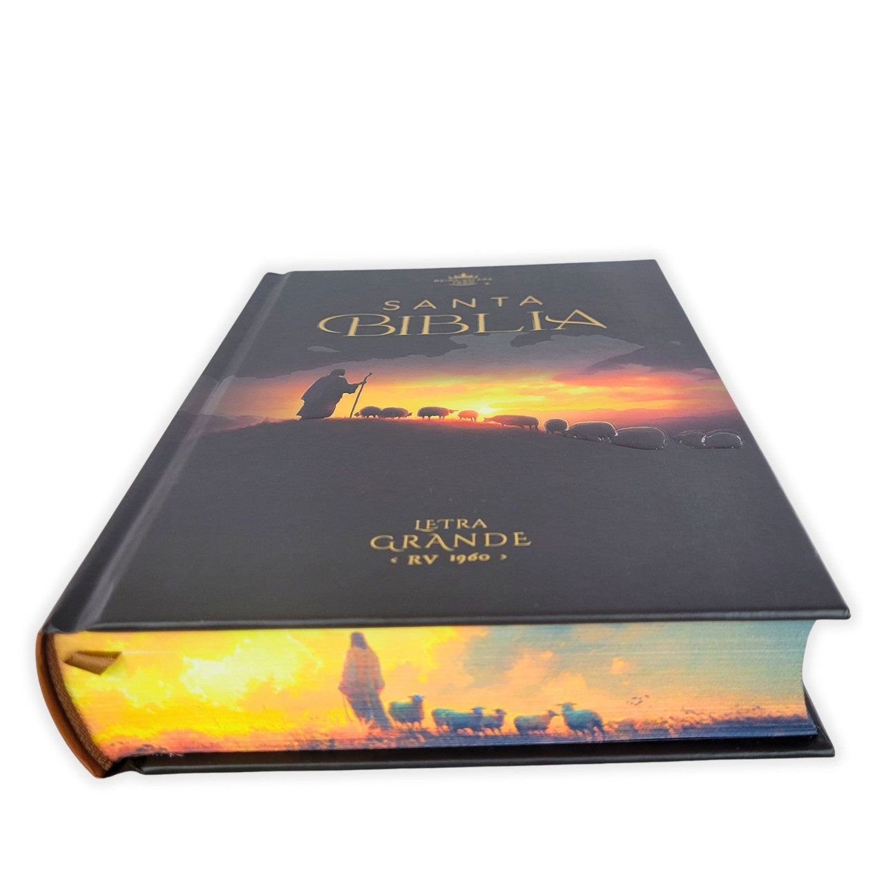 Biblia RVR1960 Pastor cto pto c/texto tapa dura manual 12.5pt