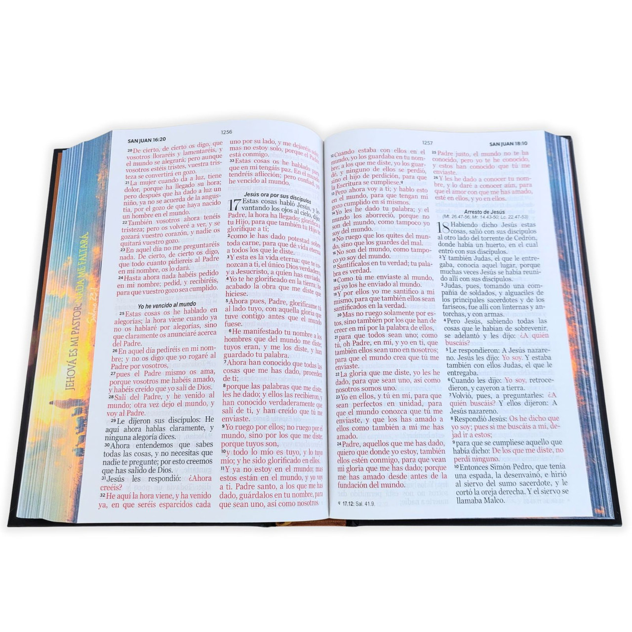 Biblia RVR1960 Pastor cto pto c/texto tapa dura manual 12.5pt