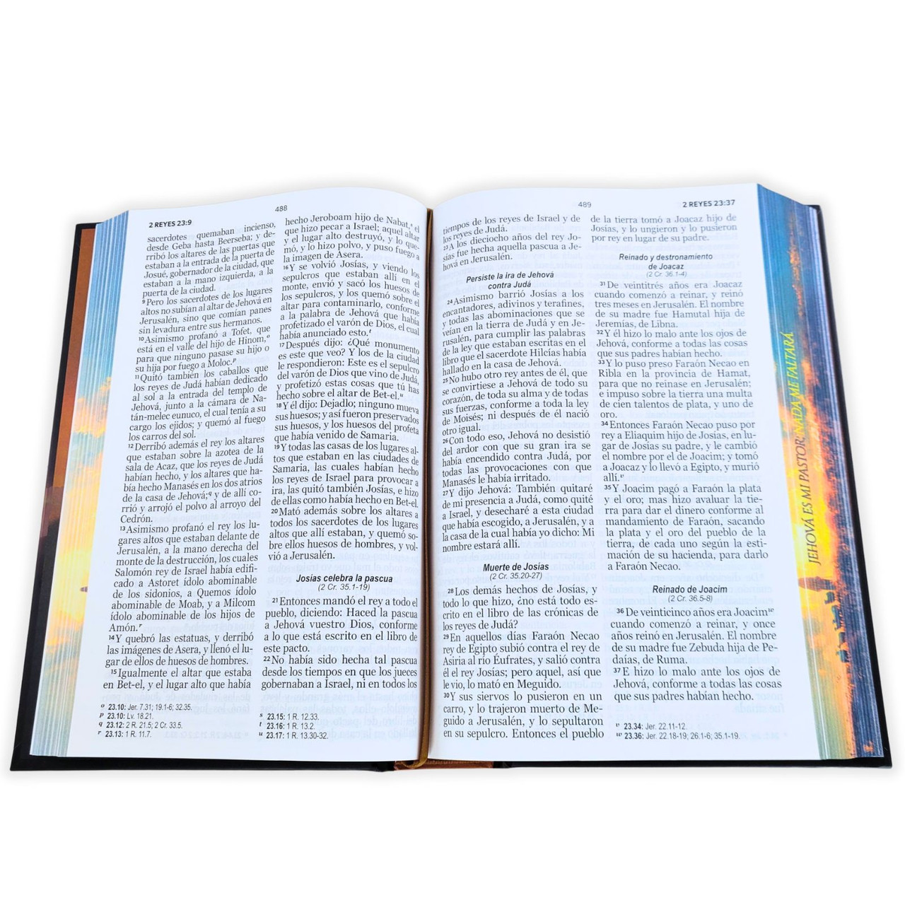 Biblia RVR1960 Pastor cto pto c/texto tapa dura manual 12.5pt