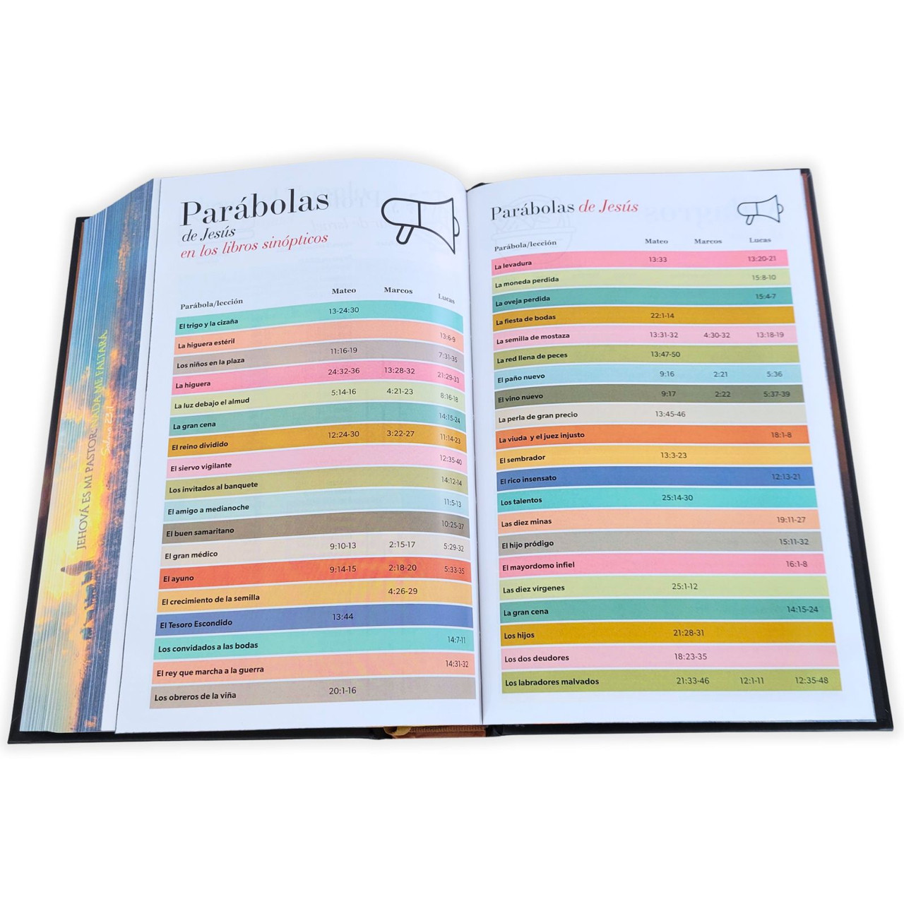 Biblia RVR1960 Pastor cto pto c/texto tapa dura manual 12.5pt