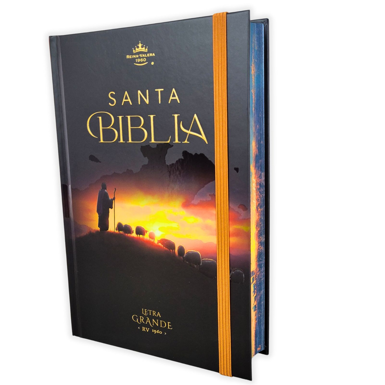 Biblia RVR1960 Pastor cto pto c/texto tapa dura manual 12.5pt