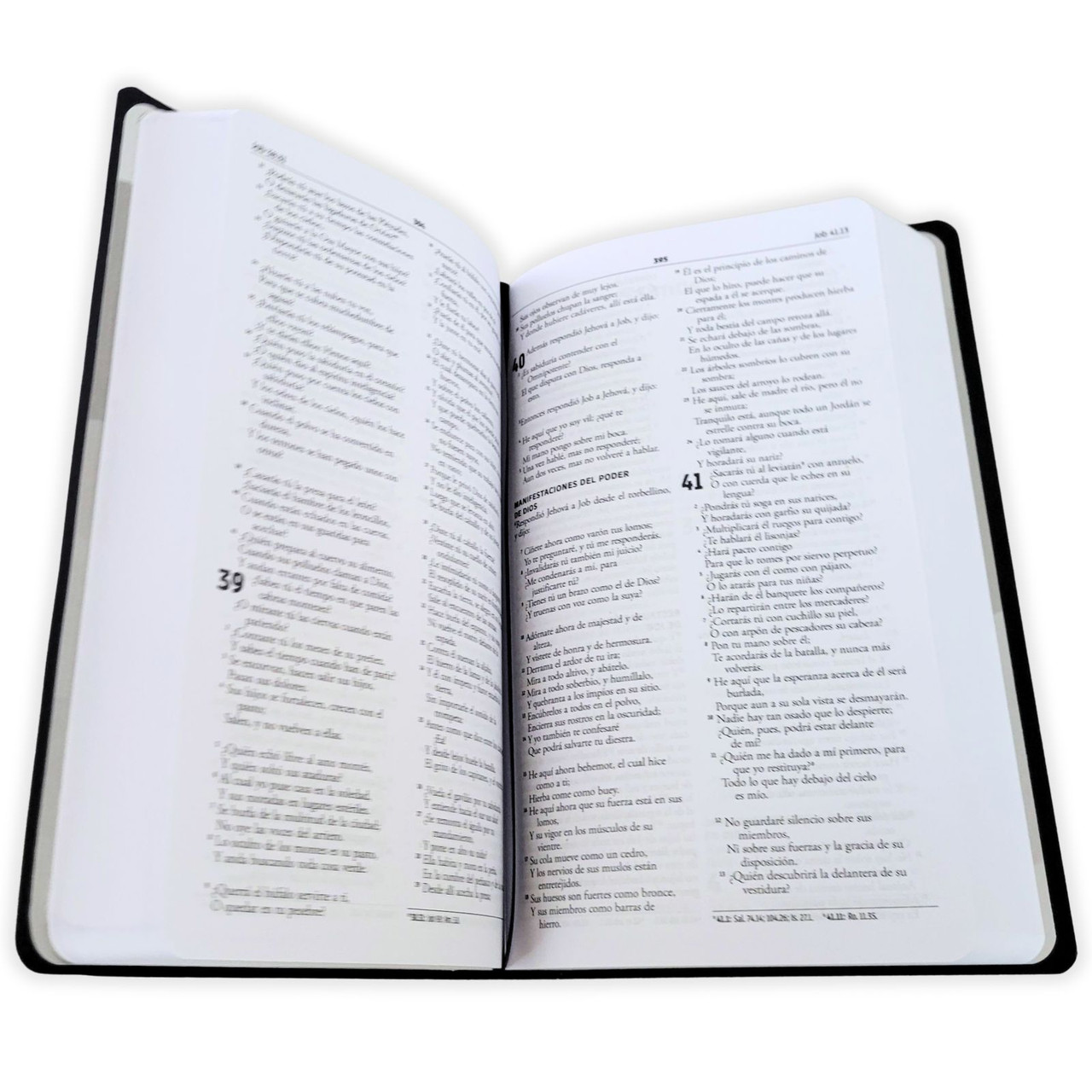 Biblia RVR1960 Regalos y premios negro IP TM 8pt