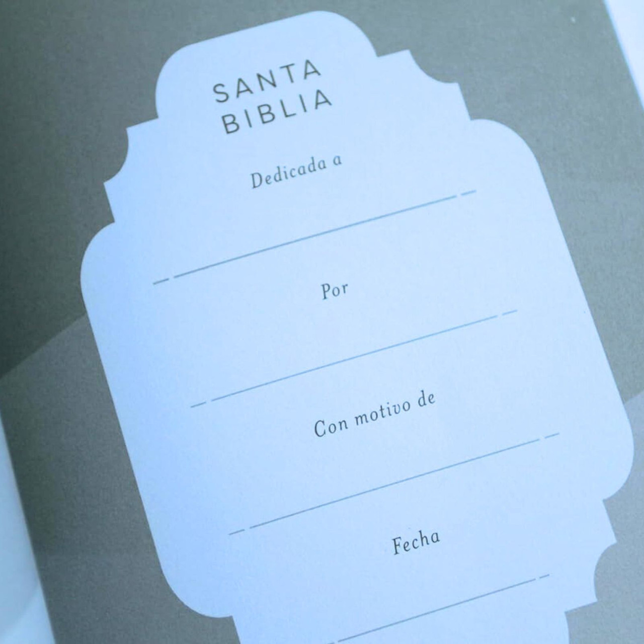 Biblia RVR1960 Regalos y premios negro IP TM 8pt