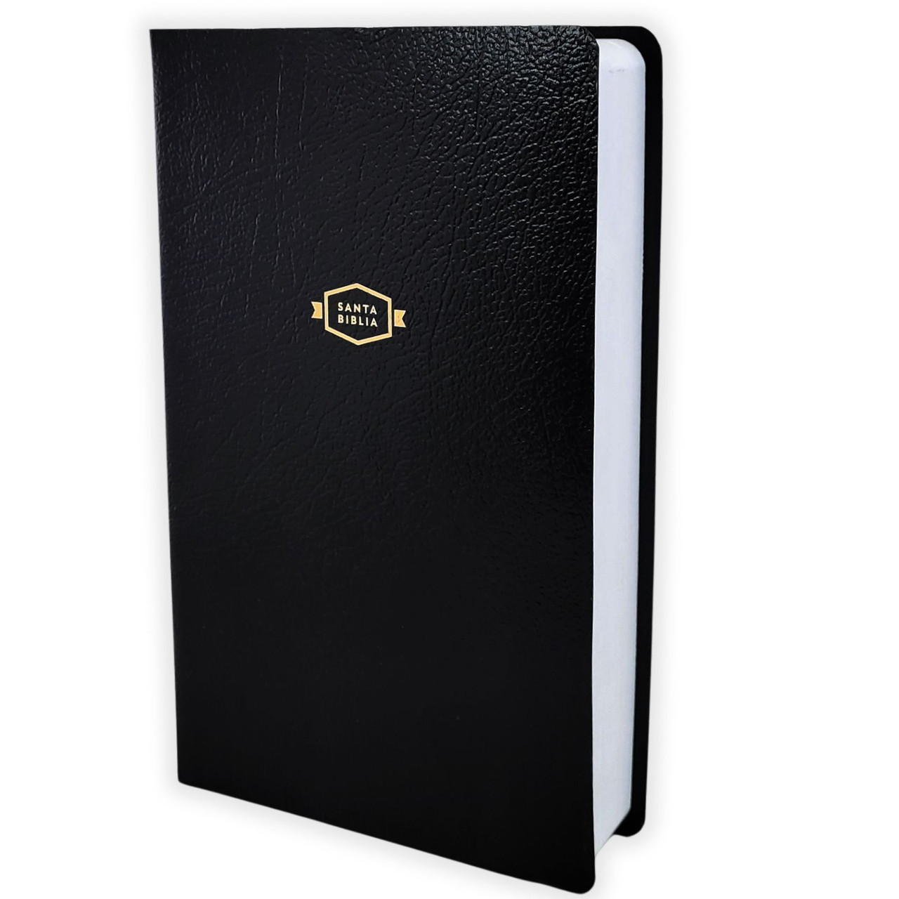 Biblia RVR1960 Regalos y premios negro IP TM 8pt