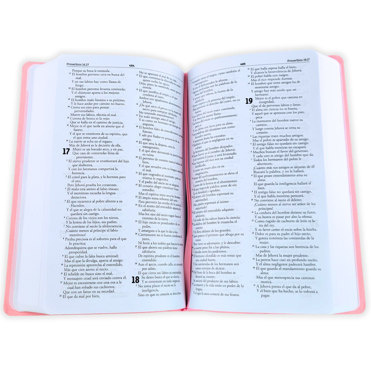 Biblia RVR1960 Regalos y premios rosa IP TM 8pt