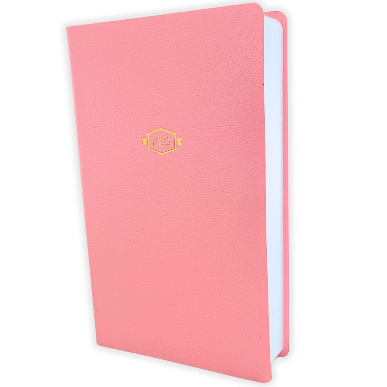 Biblia RVR1960 Regalos y premios rosa IP TM 8pt