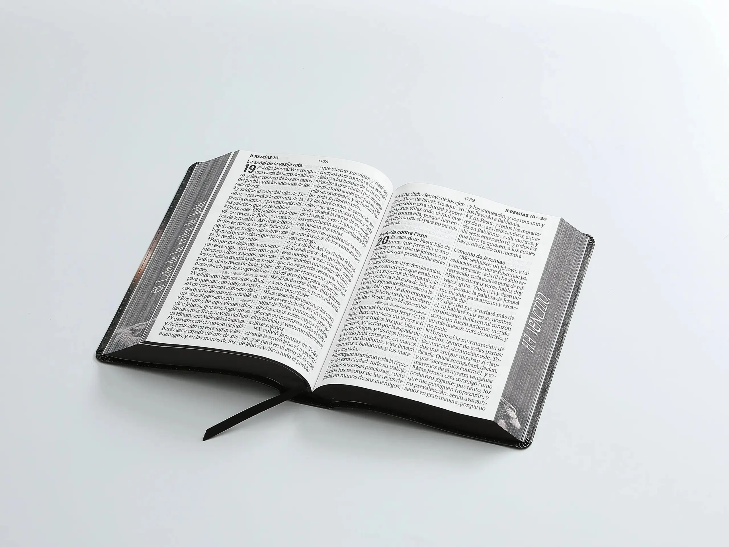 Biblia RVR1960 Sabiduria sup gig leon Juda cto pintado im piel TG 19pt
