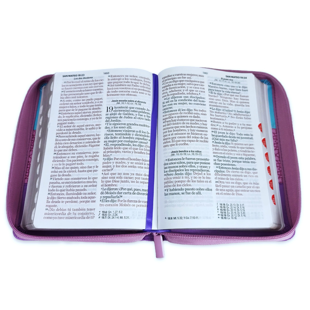 Biblia RVR1960 Tricolor azul rosa lila im piel cierre índice TC 11pt