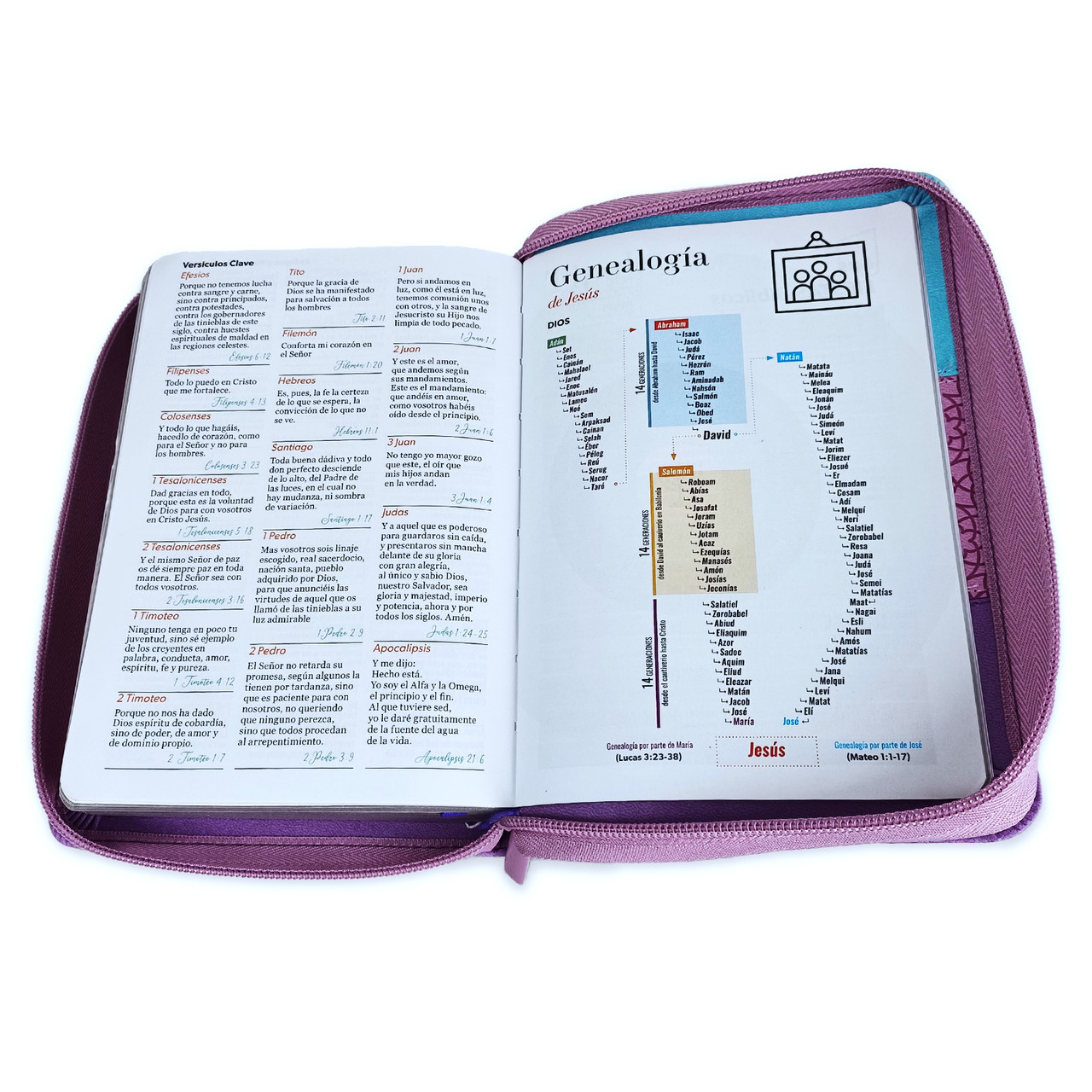 Biblia RVR1960 Tricolor azul rosa lila im piel cierre índice TC 11pt