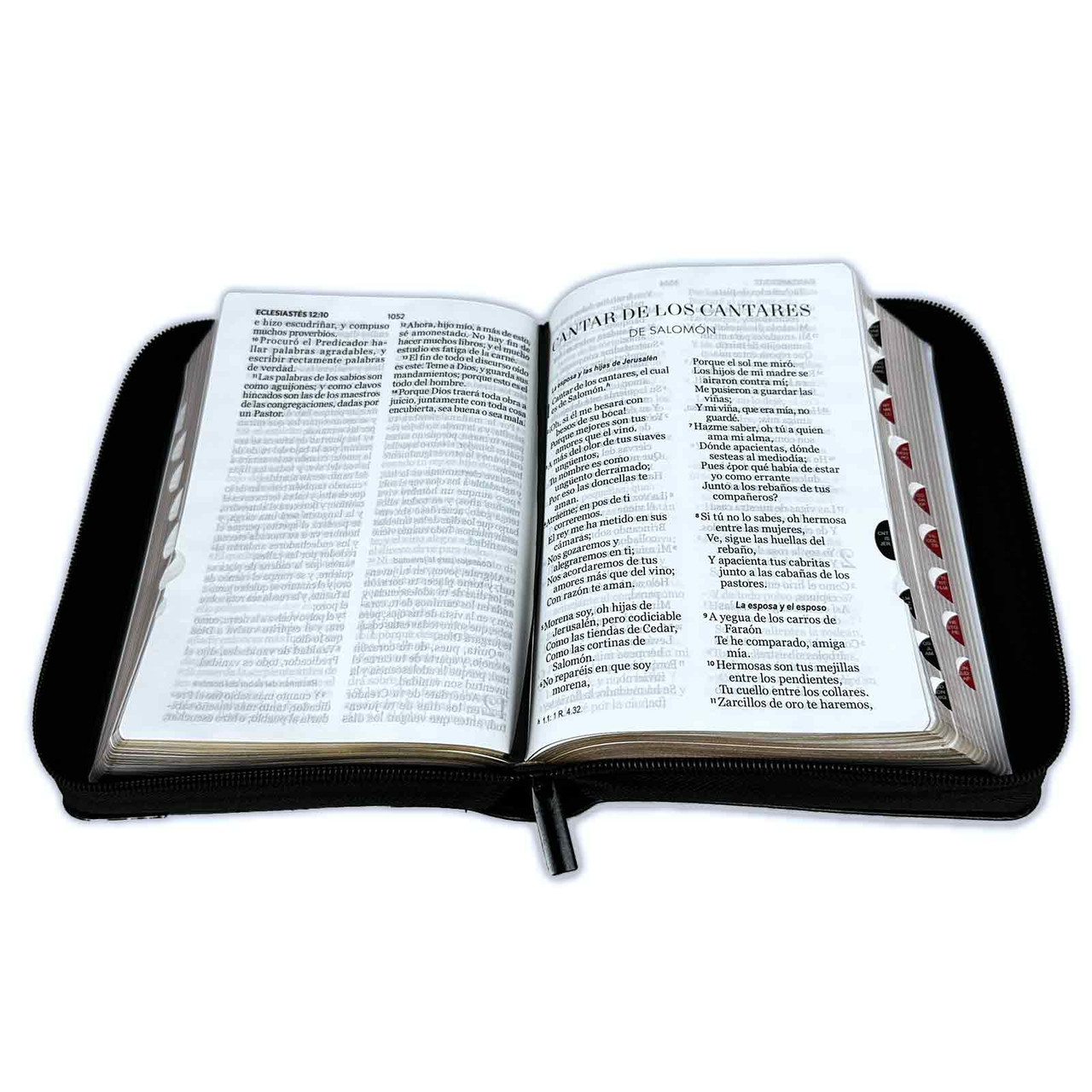 Biblia RVR6190 Expresate espada negro im piel cierre índice CH 11pt LG PJR