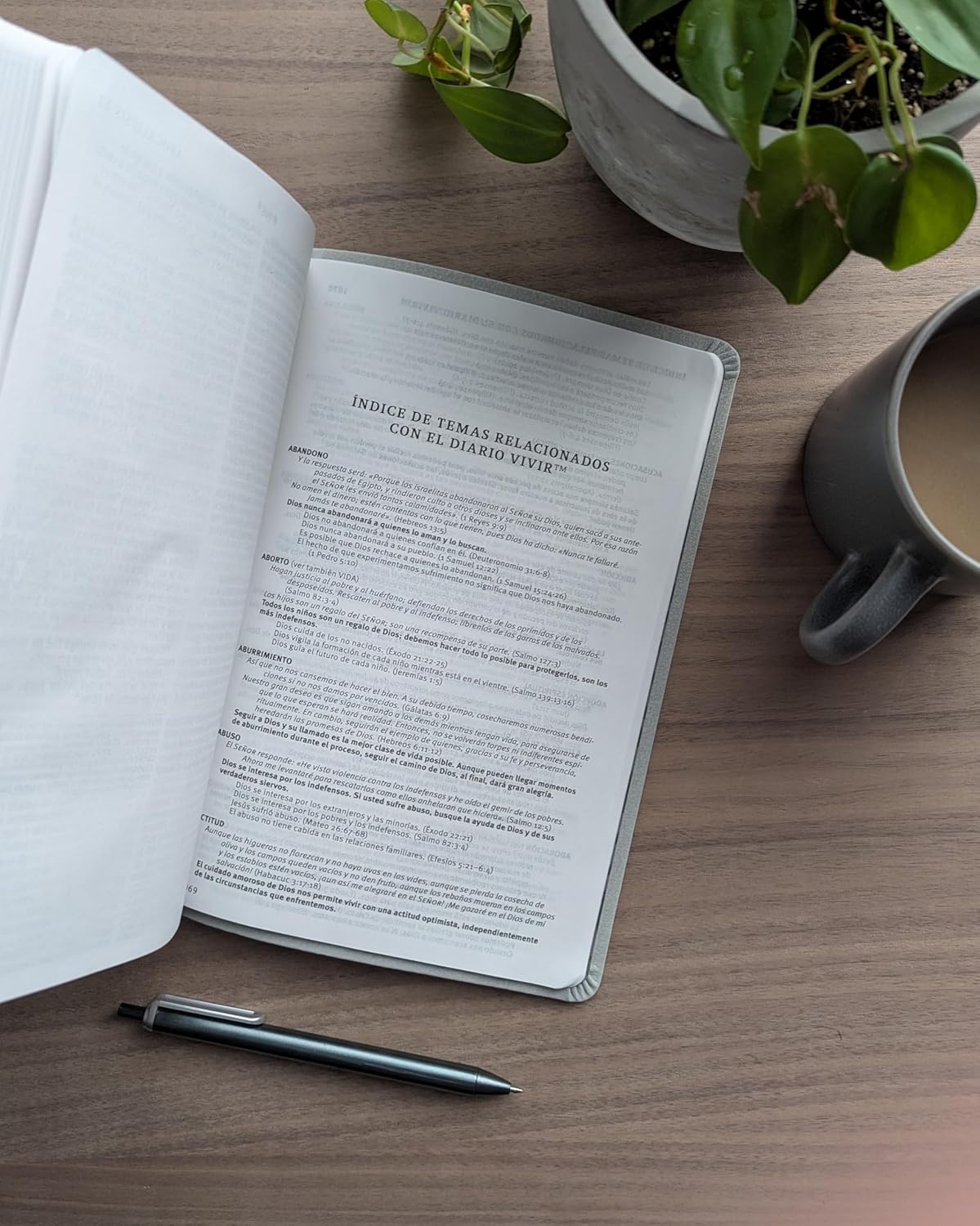 Biblia NTV valor premium gris sim piel lt gde - Image 6