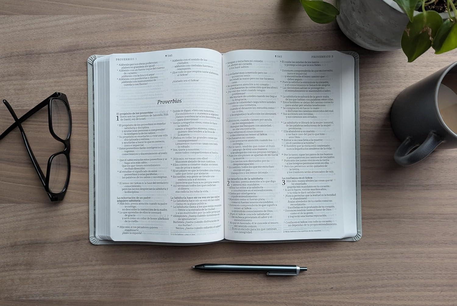 Biblia NTV valor premium gris sim piel lt gde - Image 5