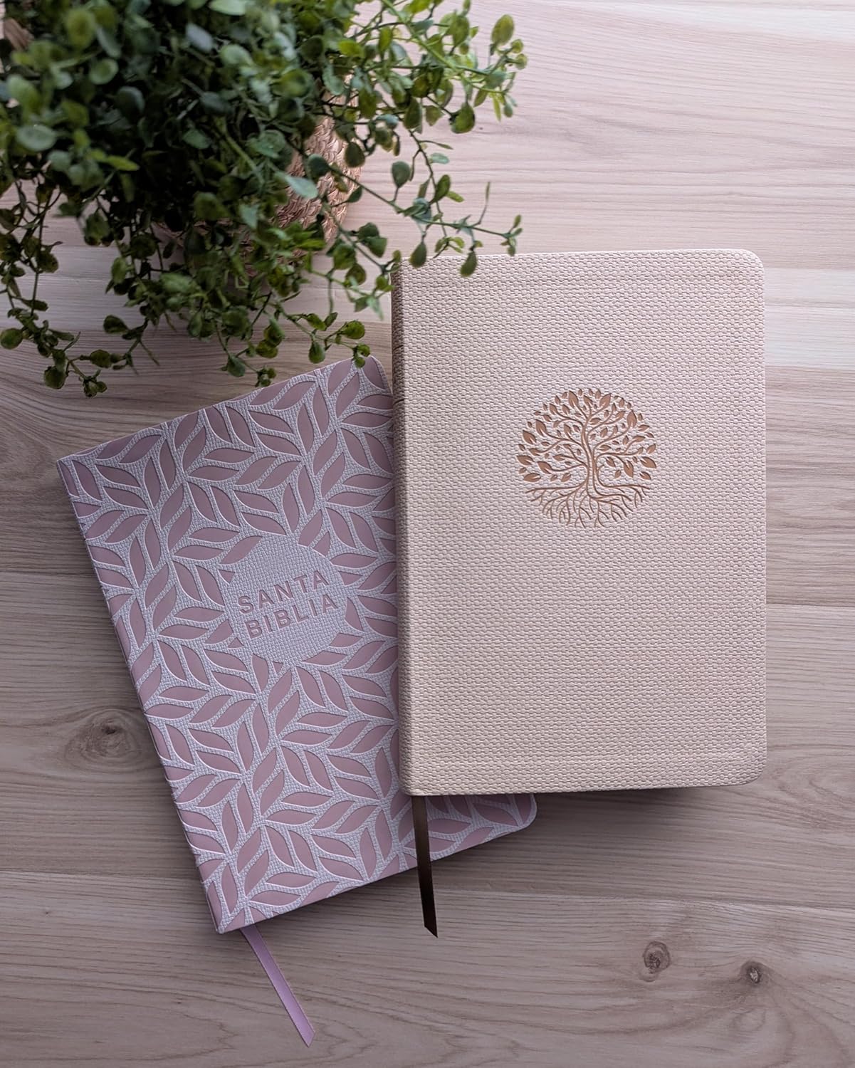 Biblia NTV valor premium cafe claro sim piel lt gde - Image 6